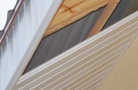 rated Plowden soffit repair companies